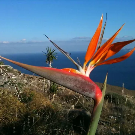 Breathtaking Seaview In A Serene Scenery *