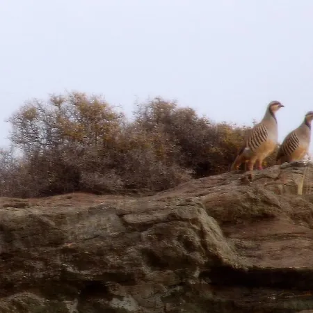 Dom wakacyjny Breathtaking Seaview In A Serene Scenery *