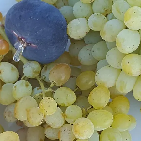 Breathtaking Seaview In A Serene Scenery * Chavouna