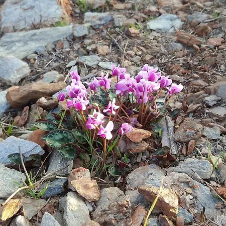 Breathtaking Seaview In A Serene Scenery