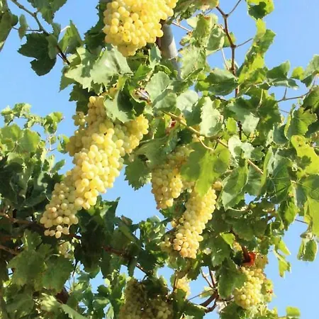 Breathtaking Seaview In A Serene Scenery *