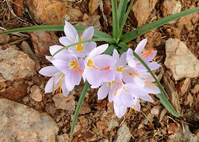 Semesterbostad Breathtaking Seaview In A Serene Scenery *