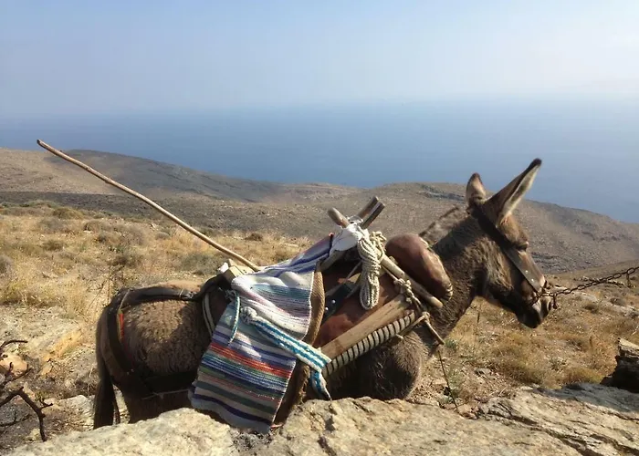 Breathtaking Seaview In A Serene Scenery Semesterbostad Chavouna