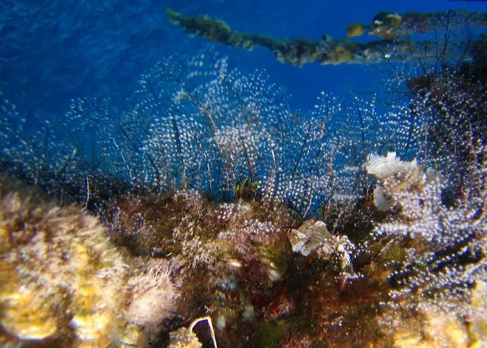 Breathtaking Seaview In A Serene Scenery *