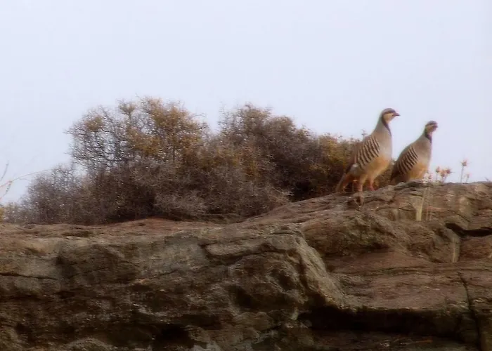Semesterbostad Breathtaking Seaview In A Serene Scenery *