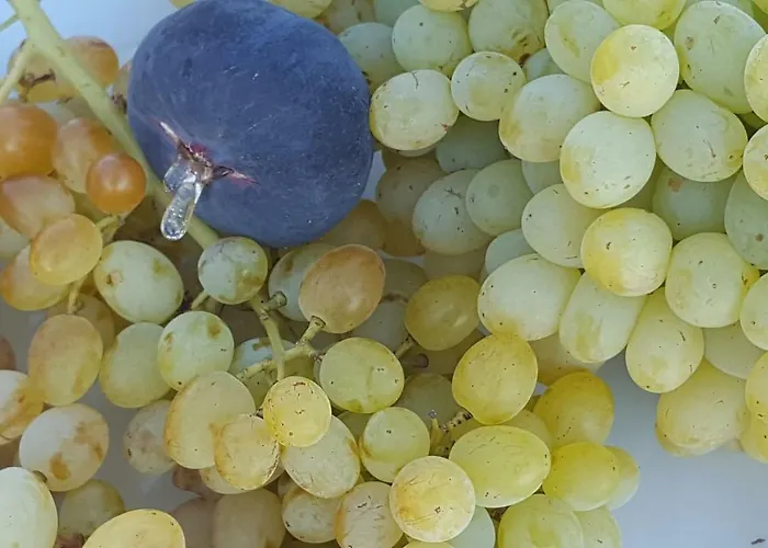 Breathtaking Seaview In A Serene Scenery * Chavouna