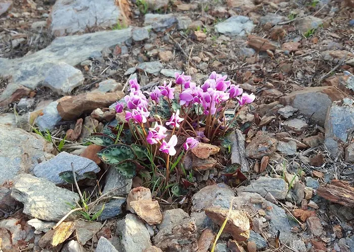 Breathtaking Seaview In A Serene Scenery