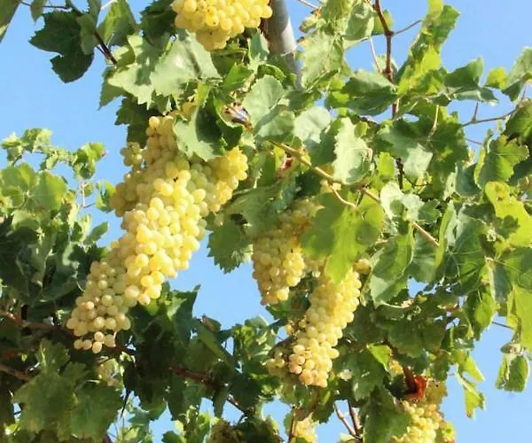 Breathtaking Seaview In A Serene Scenery *